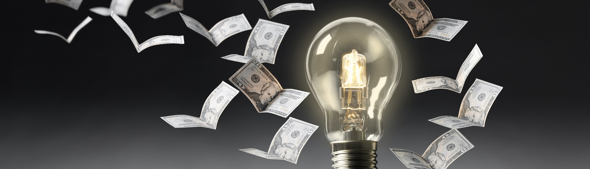 Lighting utility rebates recover costs lost due to inefficient incandescent bulbs